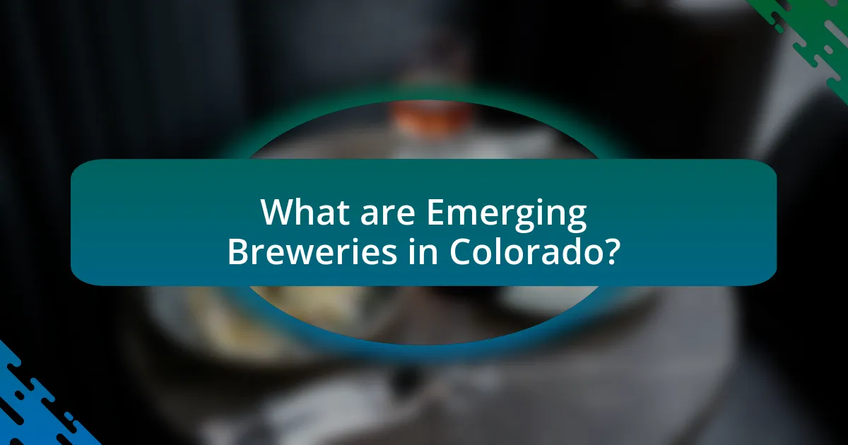 What are Emerging Breweries in Colorado?